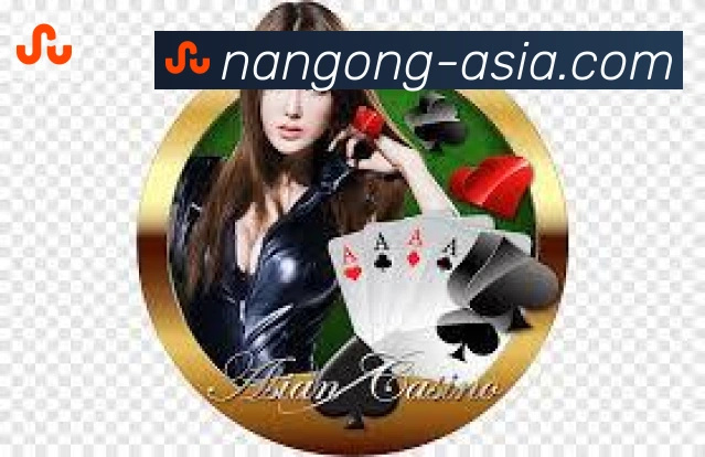 对战数据统计